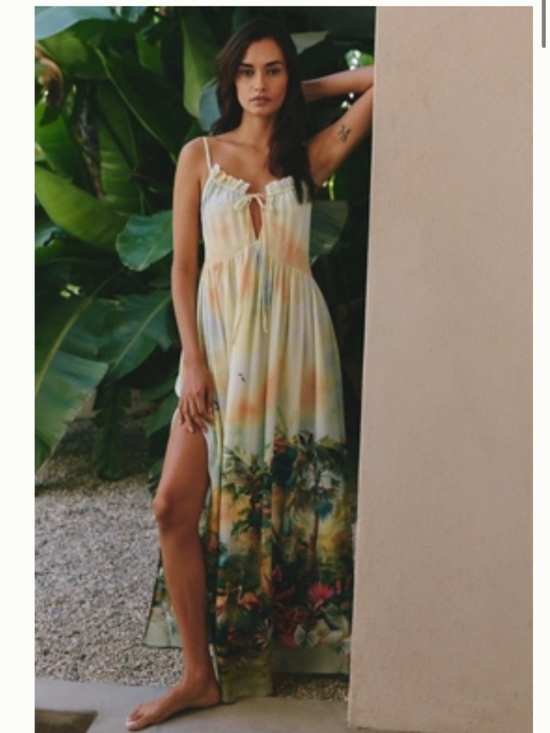 Celandine Dresses & Skirts - NWT XXS Celandine Sleeveless Scenic Maxi Dress
